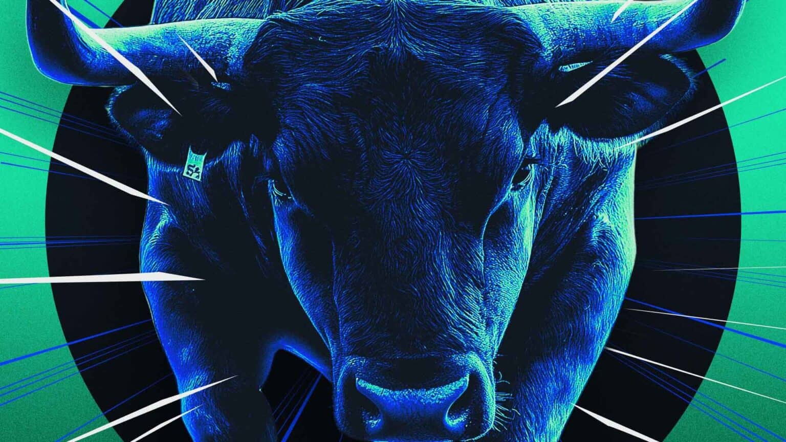 What the Crypto Bull Run Means for the Future of Fan Tokens